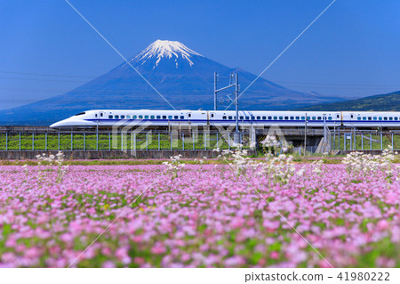 Shizuoka _ Fuji and the bullet train 41980222