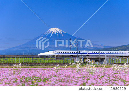 靜岡_富士和子彈列車 靜岡_富士和子彈列車 41980229