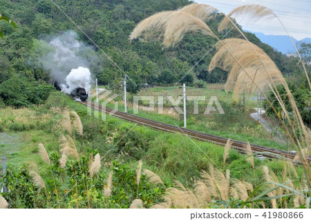 蒸氣火車 旅行 鄉村景色 花蓮縣 蒸氣火車 旅行 鄉村景色 花蓮縣 41980866