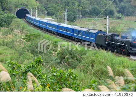 蒸氣火車 旅行 鄉村景色 花蓮縣 蒸氣火車 旅行 鄉村景色 花蓮縣 41980870