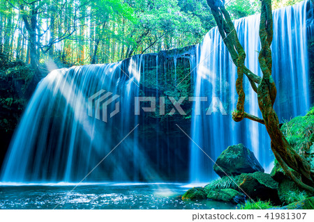 Fresh green Nabutaki Fall (Kumamoto Prefecture Aso County) 41981307