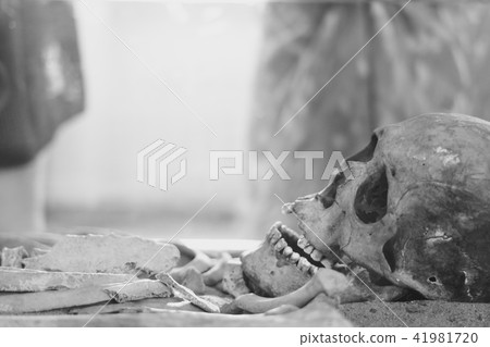 the human skull lies 41981720