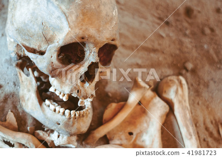 the human skull lies the human skull lies 41981723