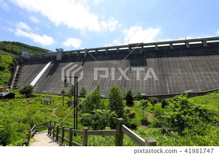 Summer of the morning glory Dam - 2018 Summer of the morning glory Dam - 2018 41981747