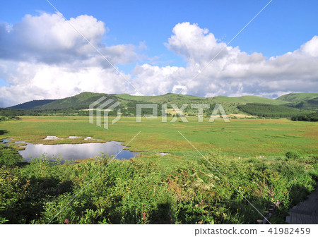 Hachijigahara Marshland -17850 Hachijigahara Marshland -17850 41982459
