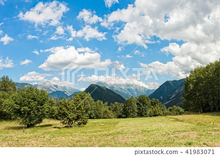 Beatiful panorama of Italian Alps in summer day. 41983071