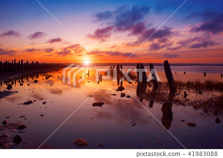 Sunset on the lake 41983088