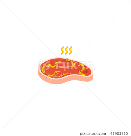Cartoon style piece of raw meat. Cartoon style piece of raw meat. 41983310
