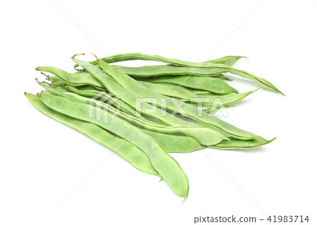 Moroccan bean Moroccan bean 41983714
