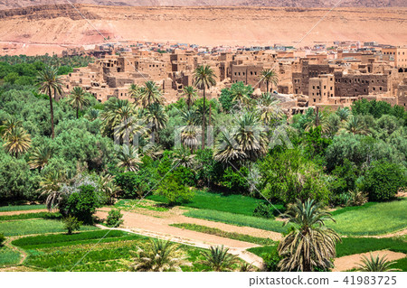 Town and oasis of Tinerhir, Morocco 41983725