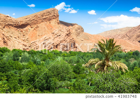 Red rock limestone fingers in Dades Gorgem Red rock limestone fingers in Dades Gorgem 41983748