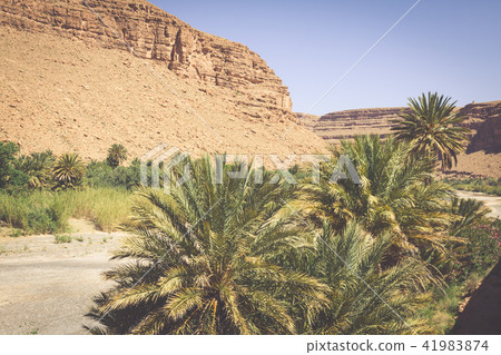 Wide view of canyon and cultivated fields Wide view of canyon and cultivated fields 41983874