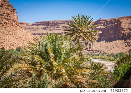 Wide view of canyon and cultivated fields  41983875
