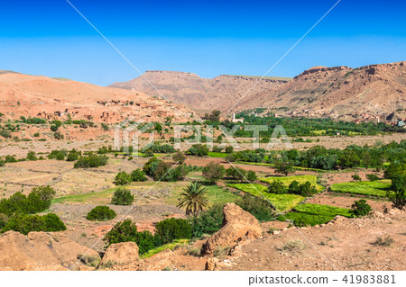 Village in the Ouarzazate, Morocco, Africa 41983881