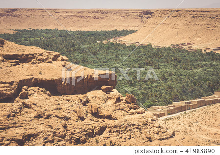 Cultivated fields and palms in Errachidia Morocco 41983890