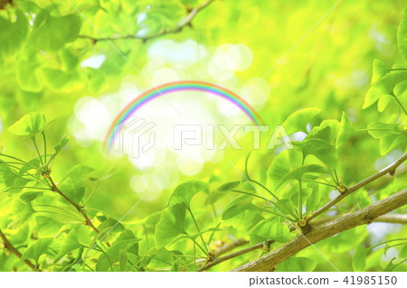 New green image _ Waka and rainbow New green image _ Waka and rainbow 41985150