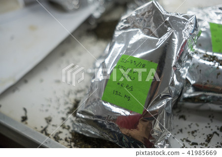 Darjeeling Darjeeling 41985669