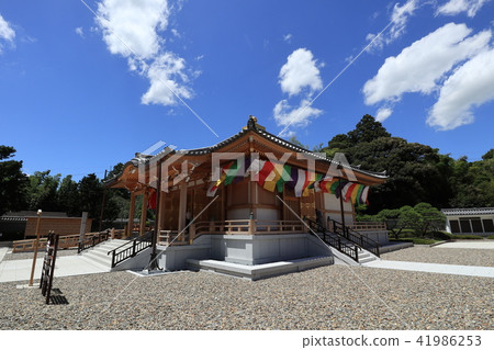 成田山新勝寺 成田山新勝寺 41986253