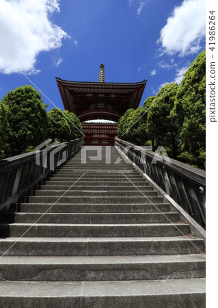 成田山新勝寺 成田山新勝寺 41986264