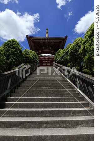成田山新勝寺 41986265