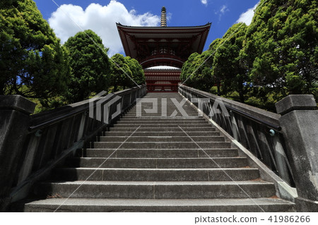 成田山新勝寺 41986266