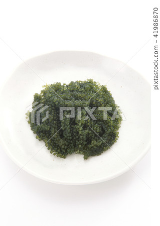 Sea grapes Sea grapes 41986870