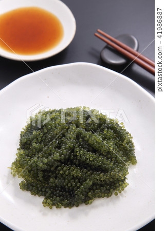 Sea grapes Sea grapes 41986887