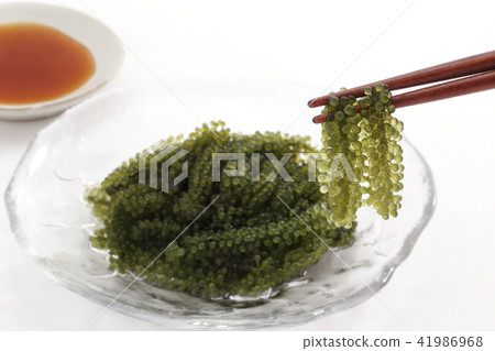 Sea grapes Sea grapes 41986968
