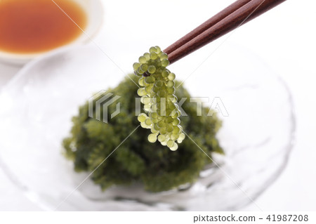 海洋葡萄 海洋葡萄 41987208