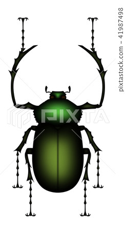 Euchirinae Euchirinae 41987498