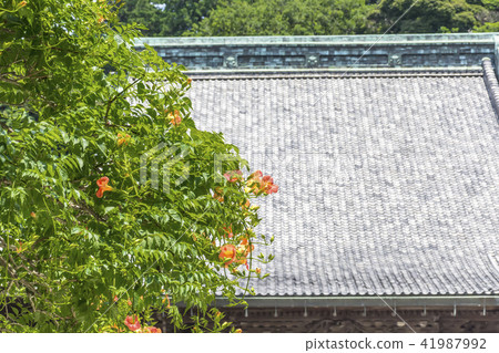 Myotoshi-ji的Soudendo和Nausen Kazura（鎌倉市大町） 41987992