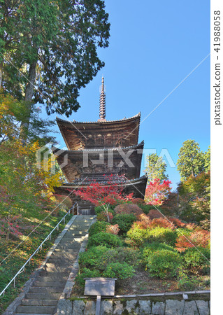 Kinuura Temple of autumn leaves Kinuura Temple of autumn leaves 41988058
