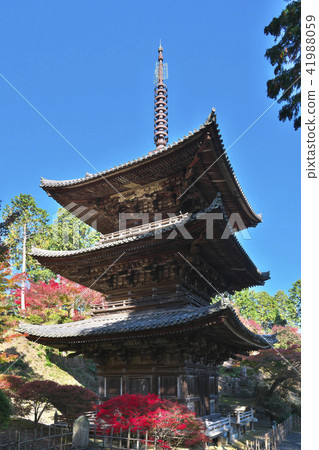 Kinuura Temple of autumn leaves Kinuura Temple of autumn leaves 41988059