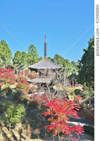 秋葉Kinuura寺廟 秋葉Kinuura寺廟 41988060
