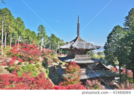 秋葉Kinuura寺廟 秋葉Kinuura寺廟 41988069