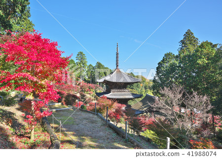 秋葉Kinuura寺廟 41988074