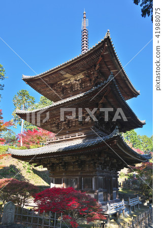 秋葉Kinuura寺廟 41988075