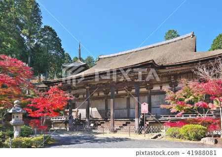 Kinuura Temple of autumn leaves 41988081