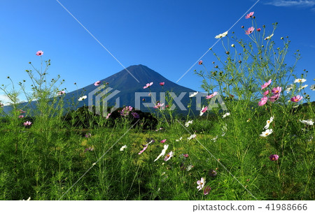 富士山湖河口湖世界遺產 富士山湖河口湖世界遺產 41988666