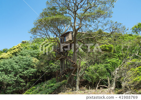Treehouse	 Treehouse	 41988769