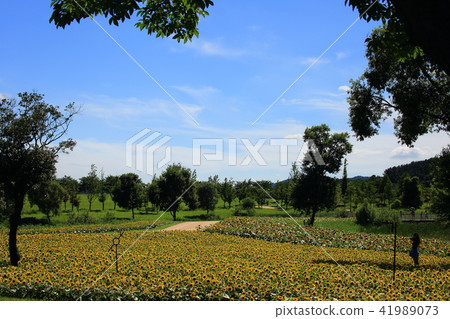 The Garden of July, The Garden of July, 41989073