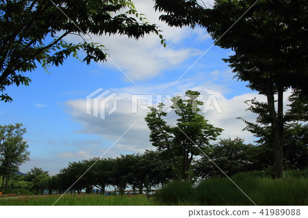 The Garden of July, The Garden of July, 41989088