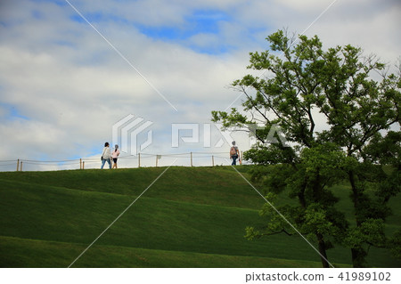 The Garden of July, The Garden of July, 41989102