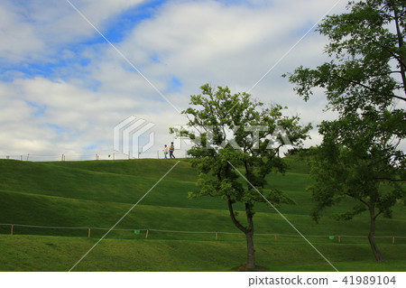 The Garden of July, 41989104