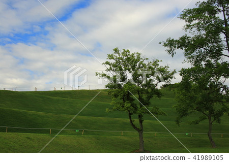 The Garden of July, 41989105