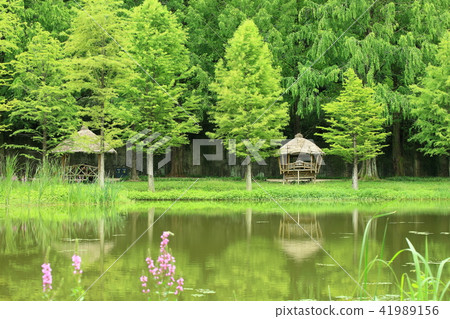 去旅行吧！ 41989156