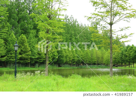 去旅行吧! 去旅行吧! 41989157