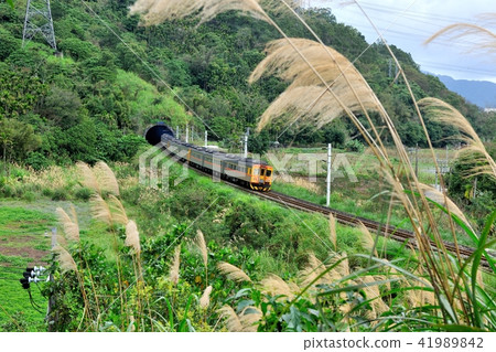 交通運輸 旅行 旅遊 花蓮觀光 鐵路火車 交通運輸 旅行 旅遊 花蓮觀光 鐵路火車 41989842