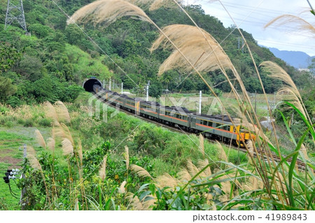 交通運輸 旅行 旅遊 花蓮觀光 鐵路火車 交通運輸 旅行 旅遊 花蓮觀光 鐵路火車 41989843