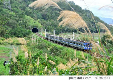 Transportation travel tourism Hualien sightseeing railway train 41989845